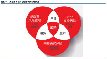 一个人也要吃的火锅 中餐进化的终极形态