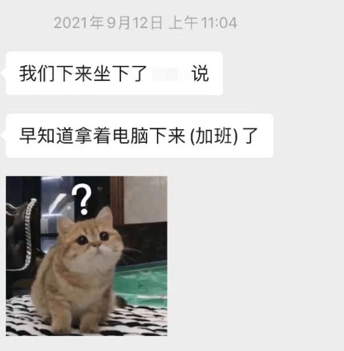 知不知道我们这一年是怎么过的