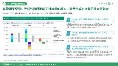 2025中国低碳供应链 物流创新发展报告 