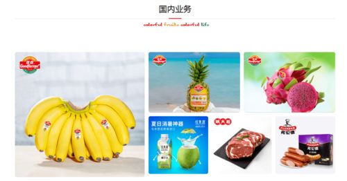 佳农集团与巧厨供应链合作项目启动会 开启供应链管理服务新篇章